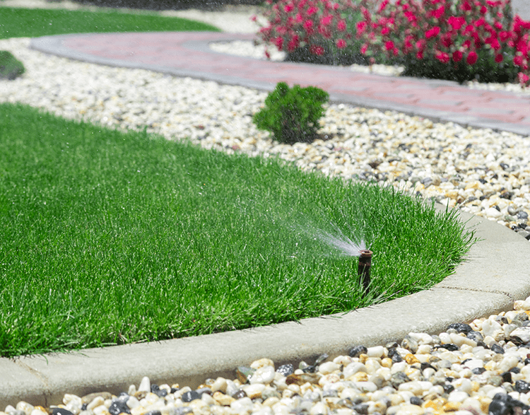 Sprinkler head spraying grass