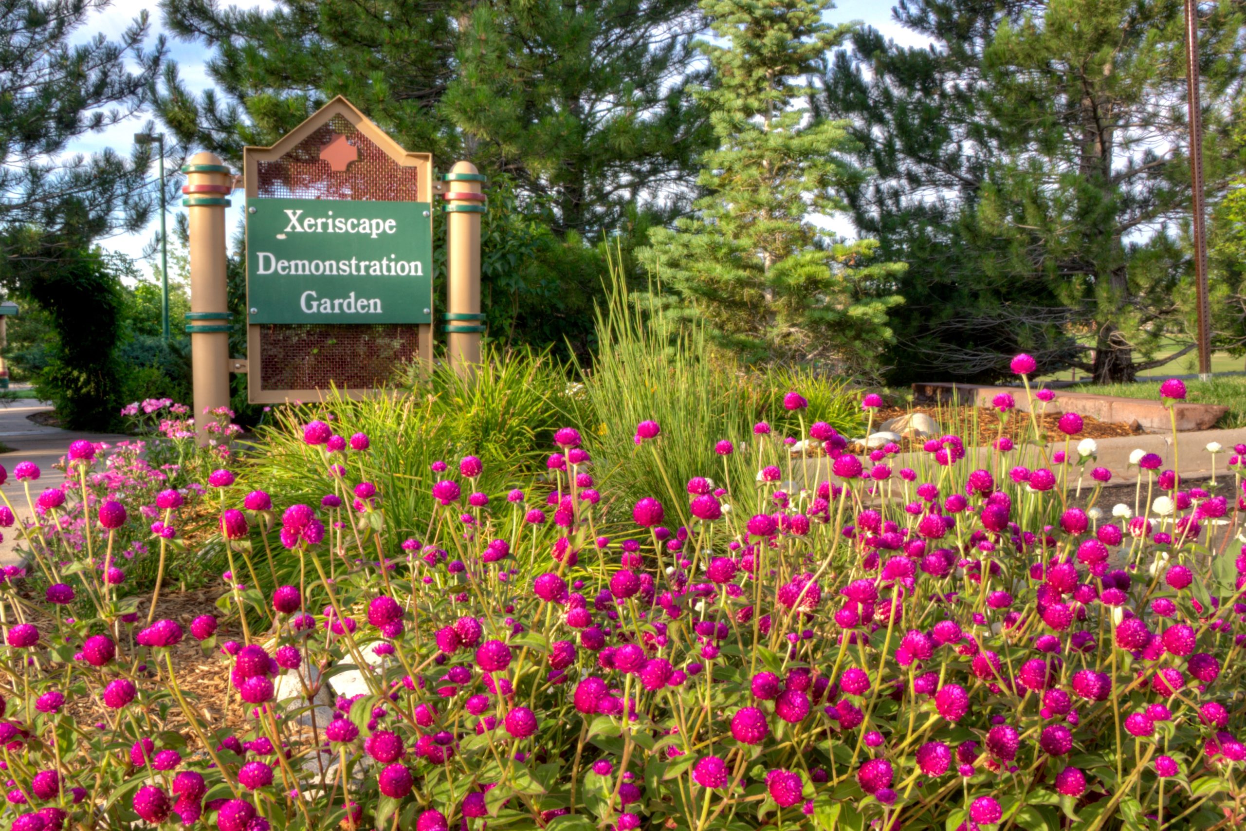 Photo of green sign that reads “Xeriscape Demonstration Garden” with pink flowers and green trees in the background.