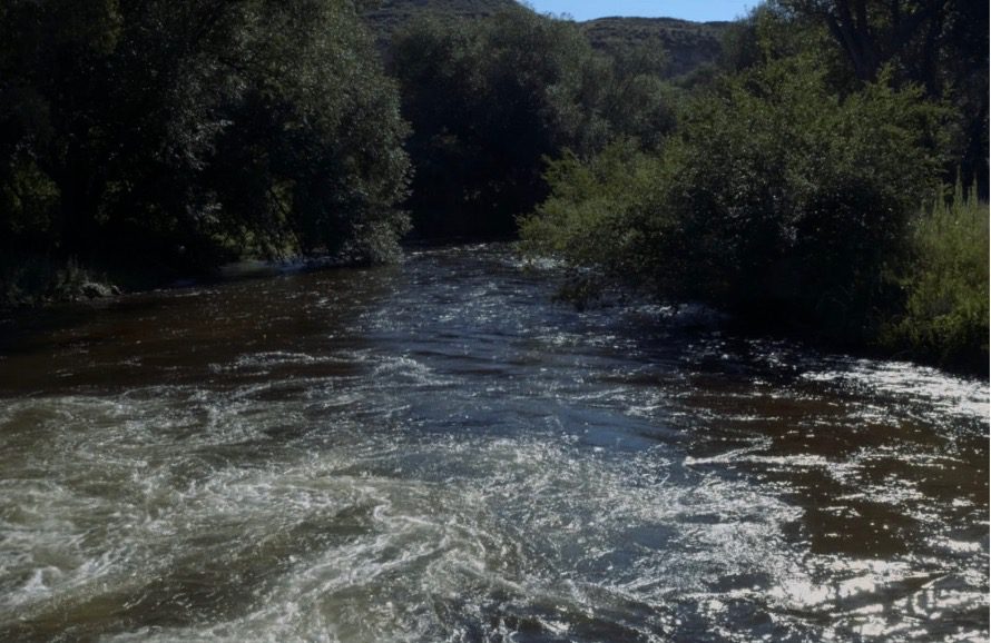 A flowing river with green bushes on both sides and a blue sky in the background.